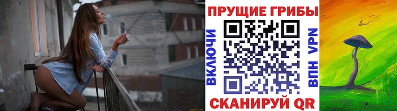 Галлюциногенные грибы Psilocybe  Купить где  Кологрив 