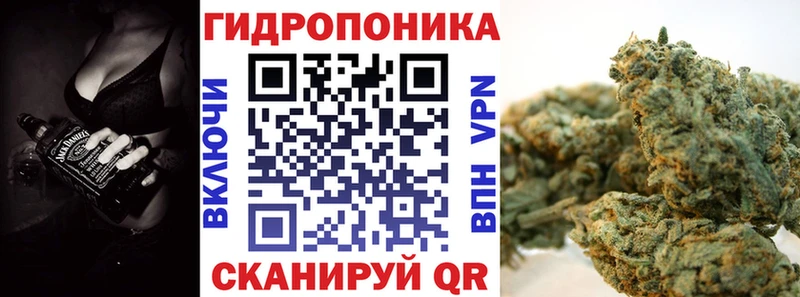 Купить где  Кологрив  Канабис OG Kush 